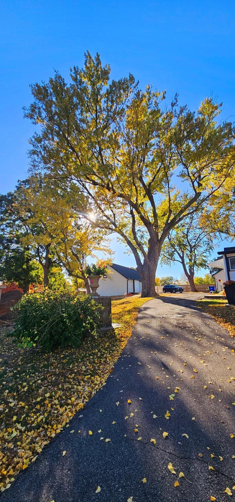 1908 Modern Farmhouse On Large Private Treed Lot Shawnee Kültér fotó